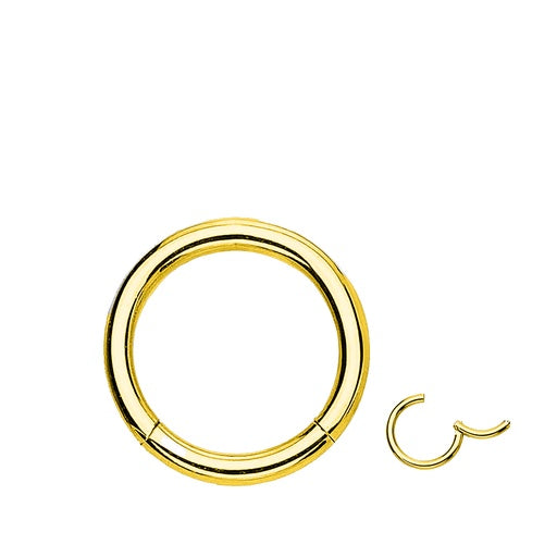 Steel 316L Gold PVD Titanium Coated Hinged Segment Ring - 18GA(1.0mm)