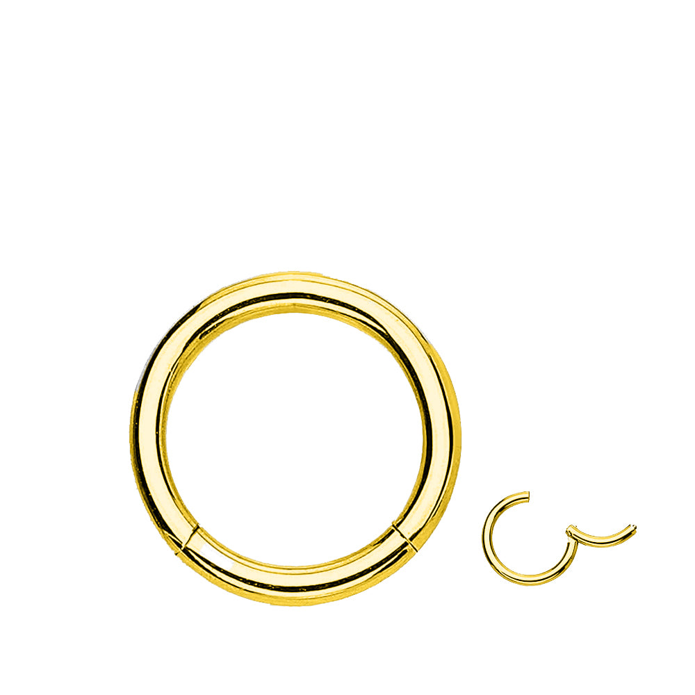 Steel 316L Gold PVD Titanium Coated Hinged Segment Ring - 16GA(1.2mm)
